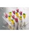 Conjunto de Cones Com Suporte