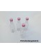 Mini Garrafinha Colour Rosa