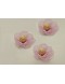 Forminha Jardim Rosa em Tela e Tule
