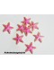 Aplique Estrela do Mar Pink