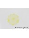 Fundo Rendado Amarelo