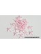 Lacinho Simples Com Strass Rosa Bebé