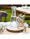 Base Rustic