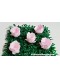 Forminha para Doces Rosa Rosa