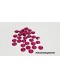 Aplique Chaton Fucsia